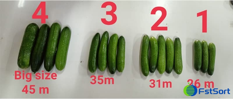 images/1650530401224cucumber sorting equipment.jpg